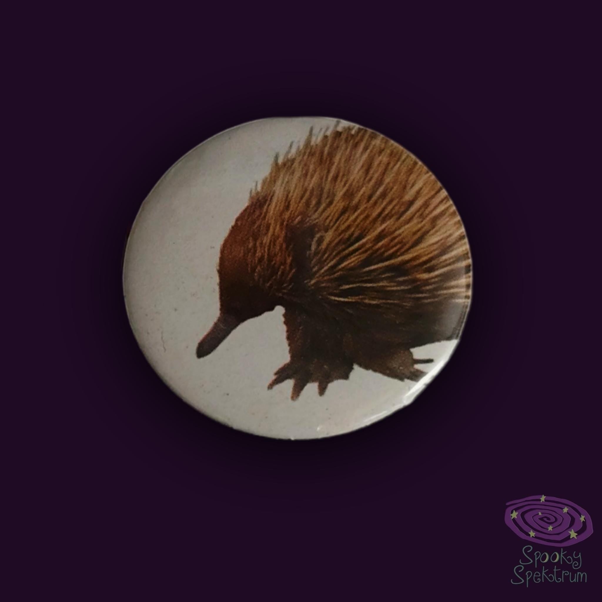 Pins - Eyeball, Echidna, Fly, Freak