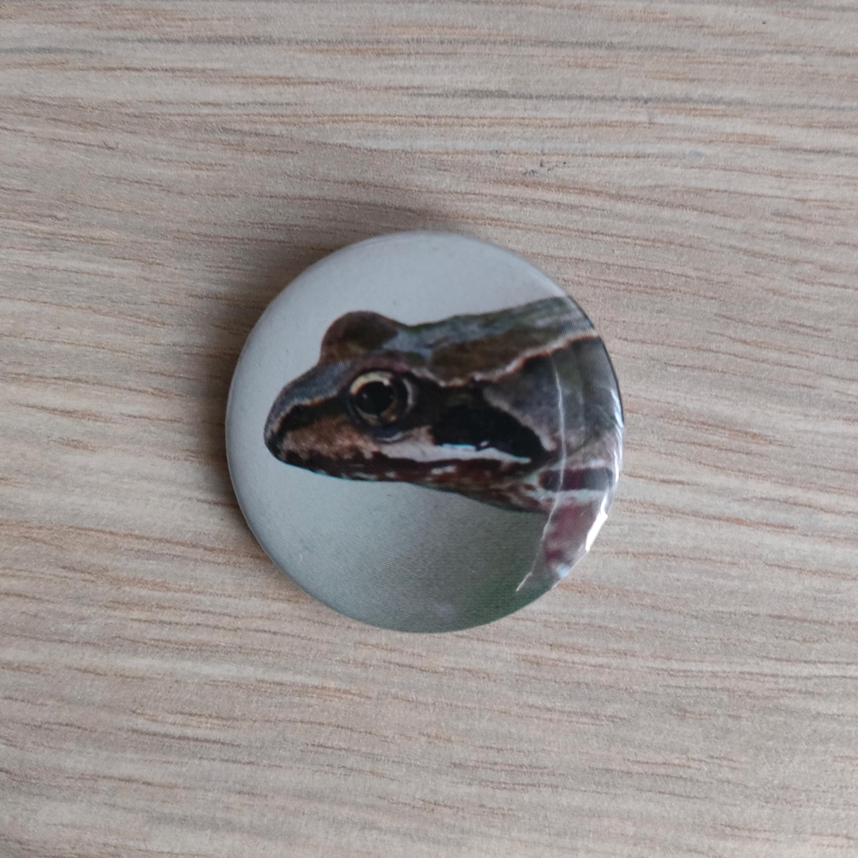 Pins - Spider, Penguins, Beaver, Frog