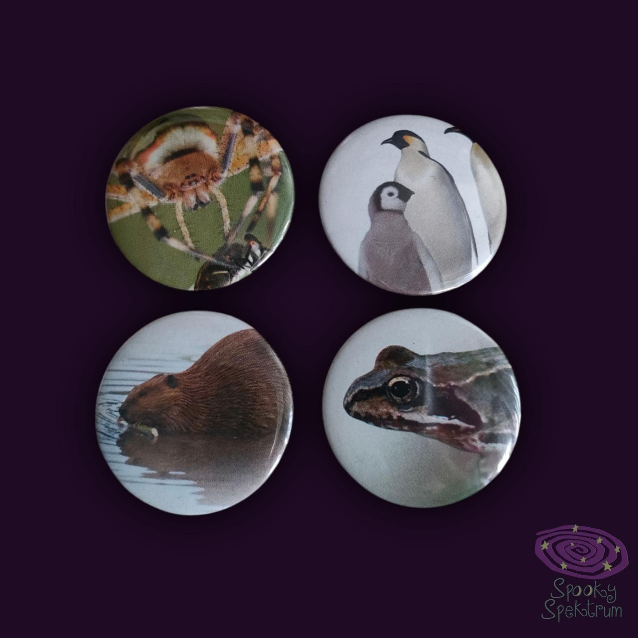 Pins - Spider, Penguins, Beaver, Frog