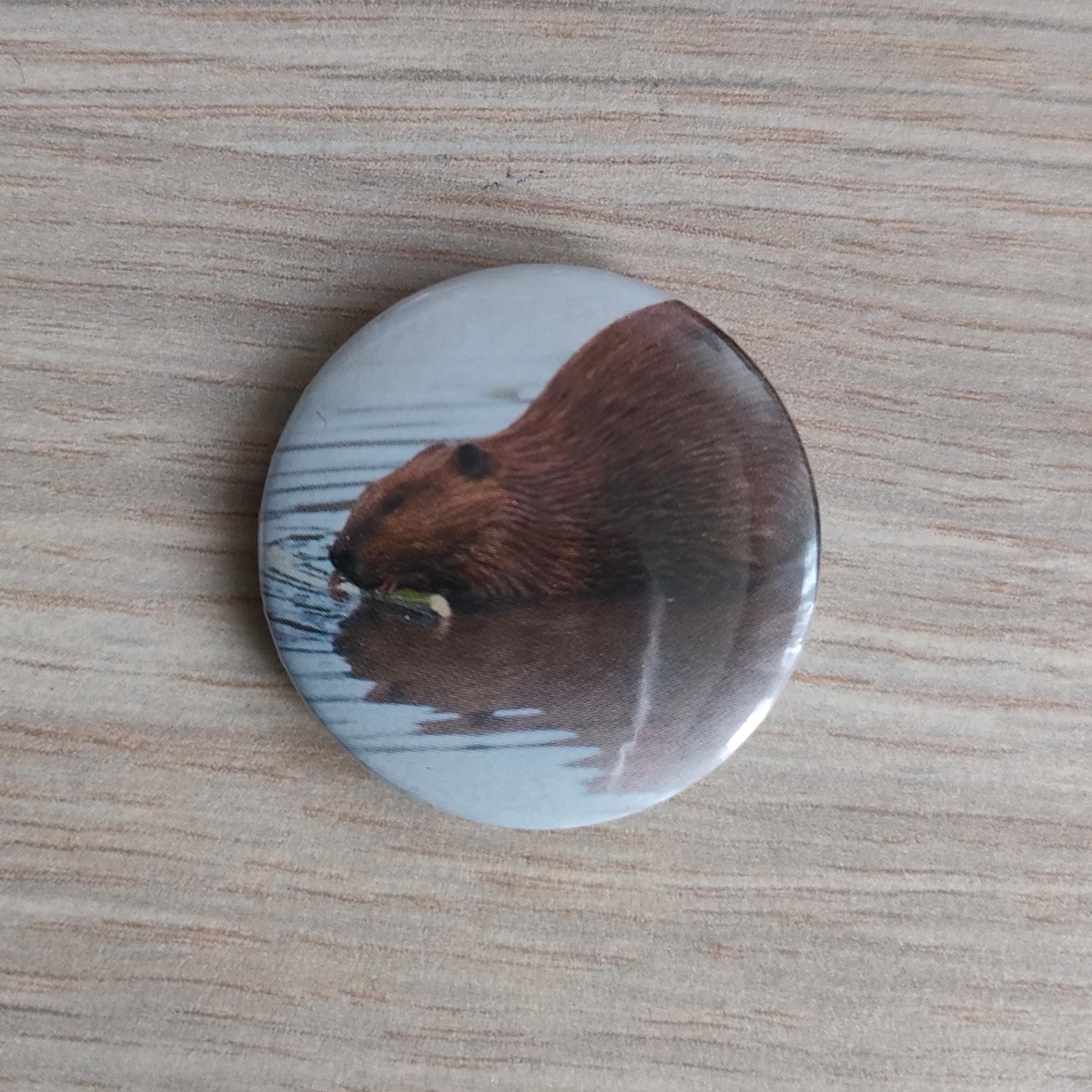 Pins - Spider, Penguins, Beaver, Frog