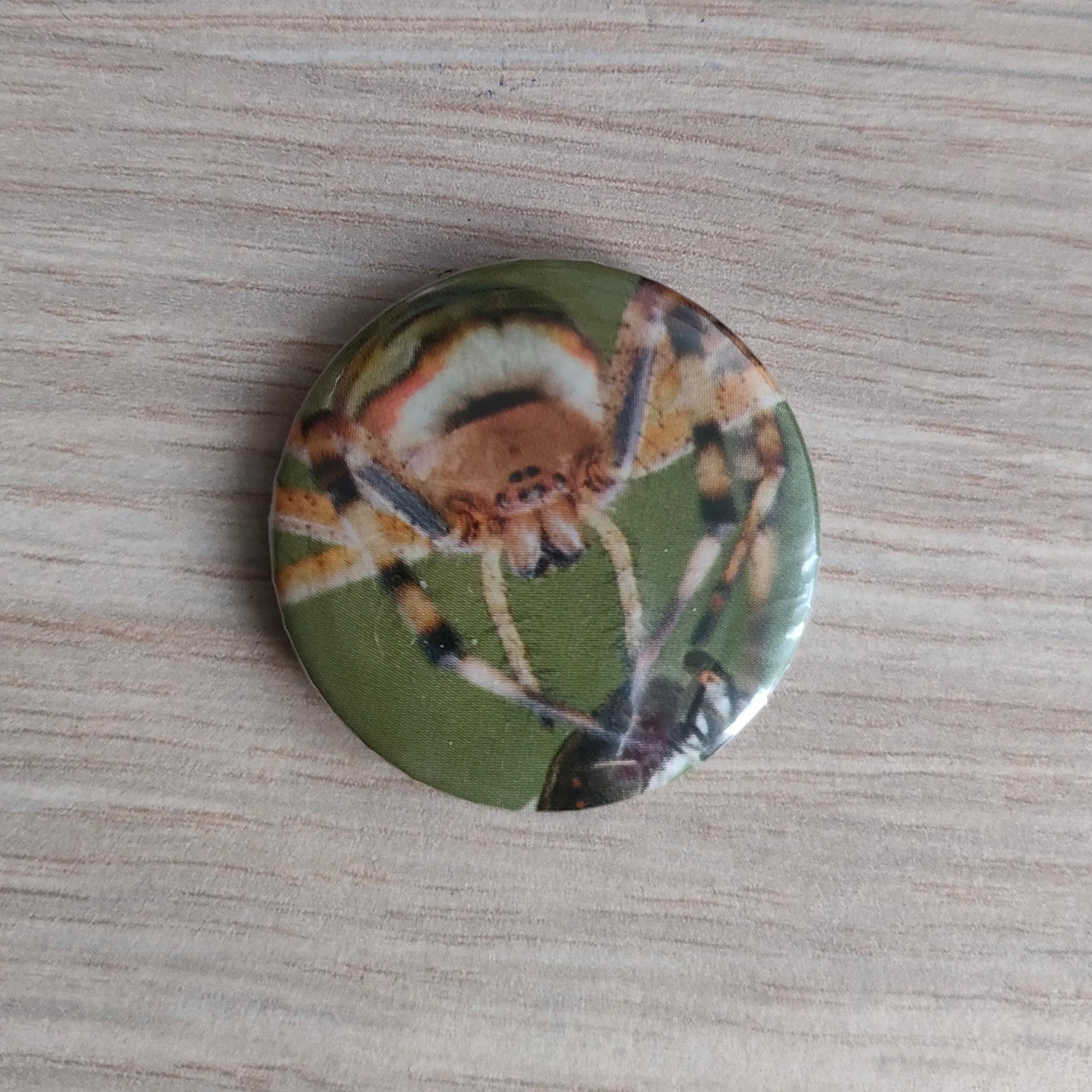 Pins - Spider, Penguins, Beaver, Frog